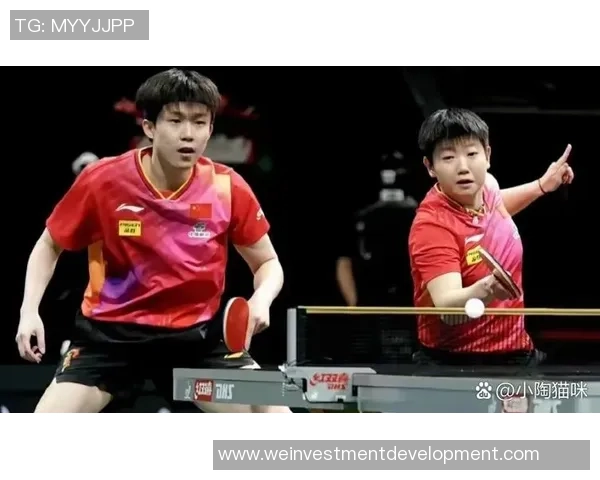 北京乒乓球队在冠军赛中的速度表现分析与战术探讨