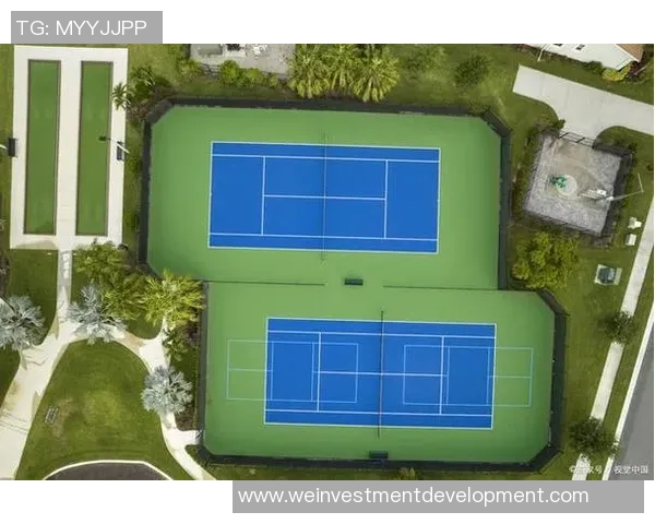 北京网球队技术表现深度分析与数据解读探讨