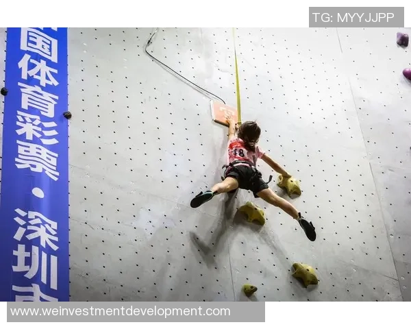 南京攀岩队在全国攀岩比赛经验排行榜中荣获第九名的佳绩分析