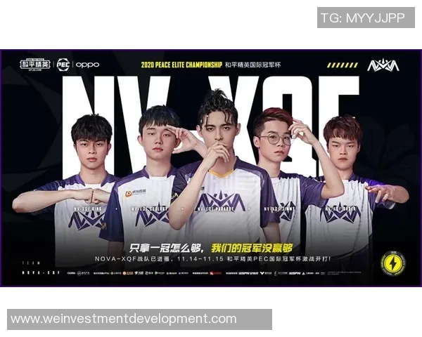 和平精英赛场上的传奇之路：RNG团队的成长与突破全记录