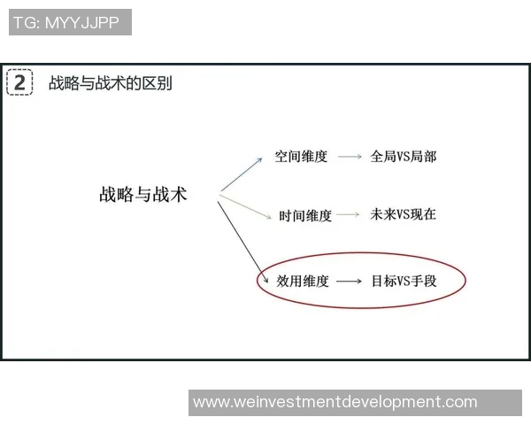 成都排球队整体压制打法深度解析与战术优势剖析