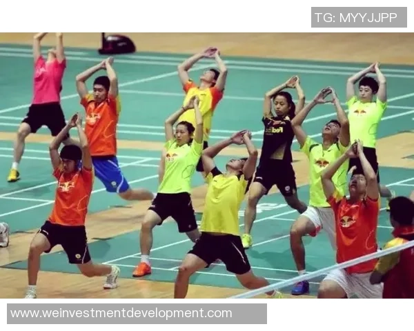 杭州羽毛球队的整体压制揭秘：深度解析其战术与训练优势